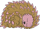 Hedgehogs - 006
